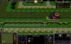  tower defense  warcraft 3