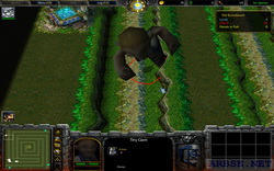  tower defense  warcraft 3