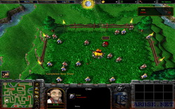  tower defense  warcraft 3