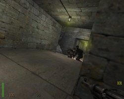 Return to Castle Wolfenstein: Time Gate